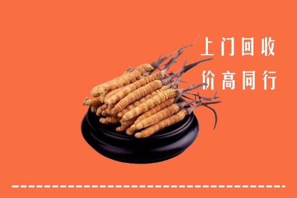 收购行情：湛河区回收散虫草